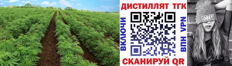 ТГК Wax  kraken зеркало  Великие Луки 