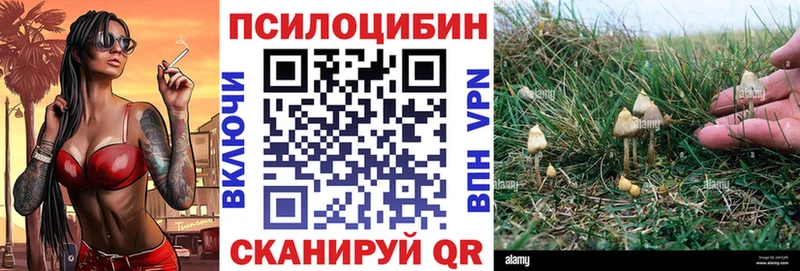 mega онион  Великие Луки  Галлюциногенные грибы GOLDEN TEACHER 